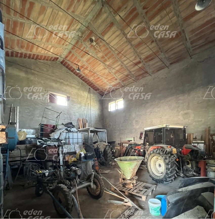 R42-170 - Roccabianca, casa indipendente 4 camere