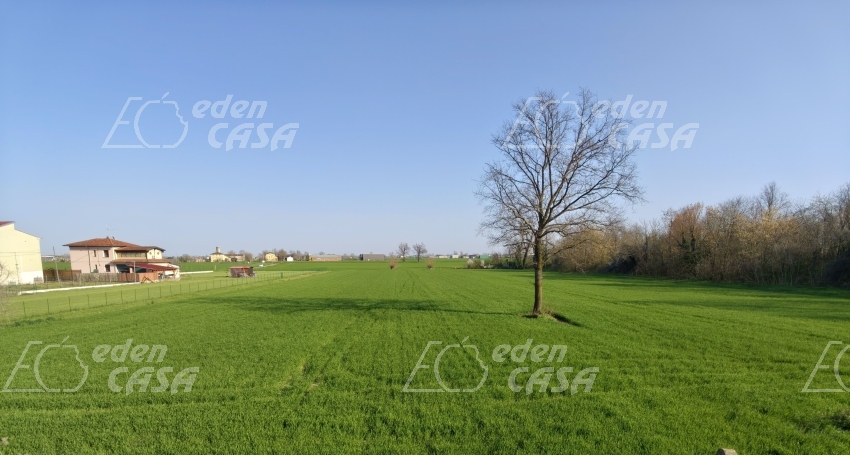 SA32-186 - Busseto, casa indipendente 
