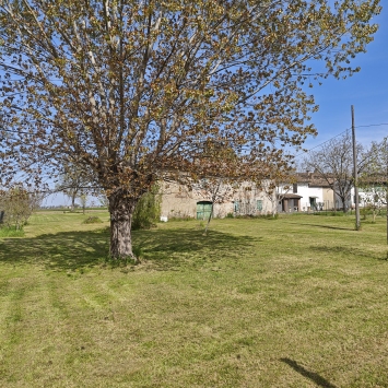 BF20-188 - Frescarolo, rustico indipendente con giardino