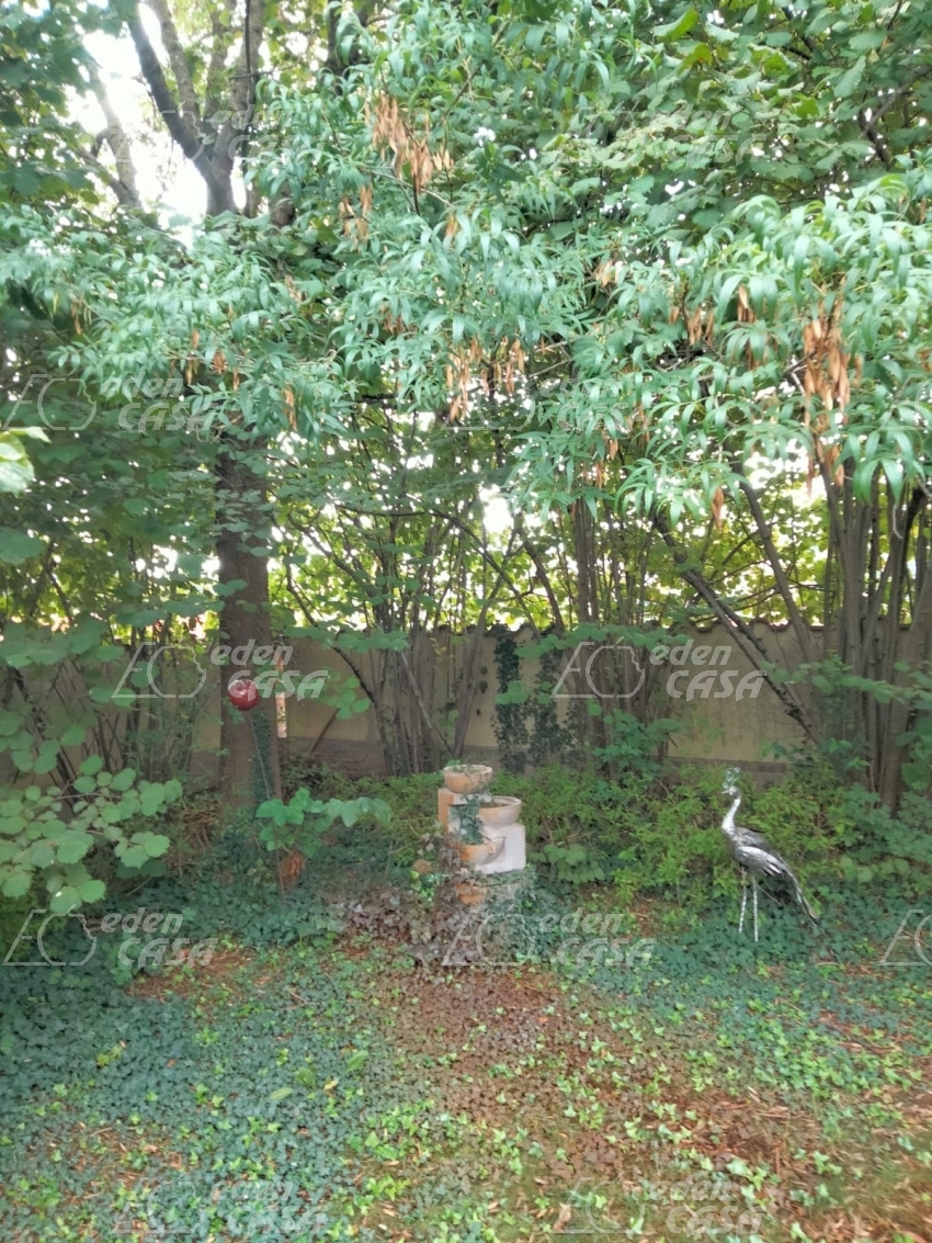 B33-202 - Busseto, villa bifamigliare