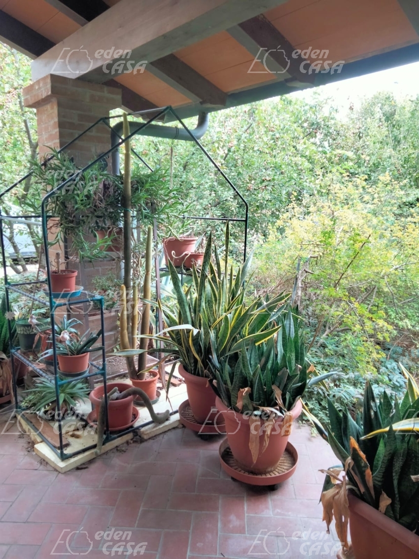 B33-202 - Busseto, villa bifamigliare