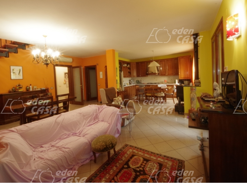 B33-202 - Busseto, villa bifamigliare