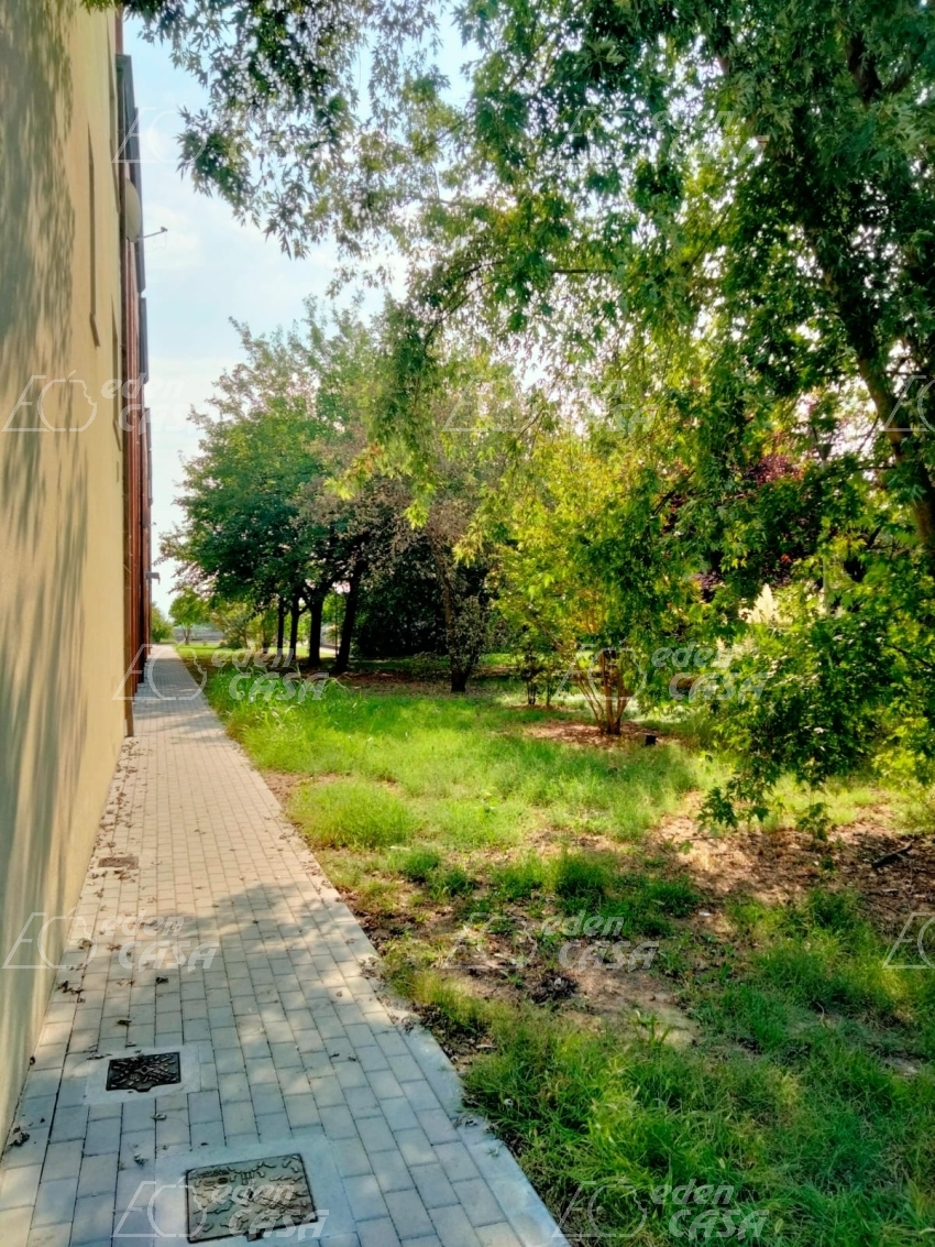 B31-203 - Busseto, appartamento su due piani