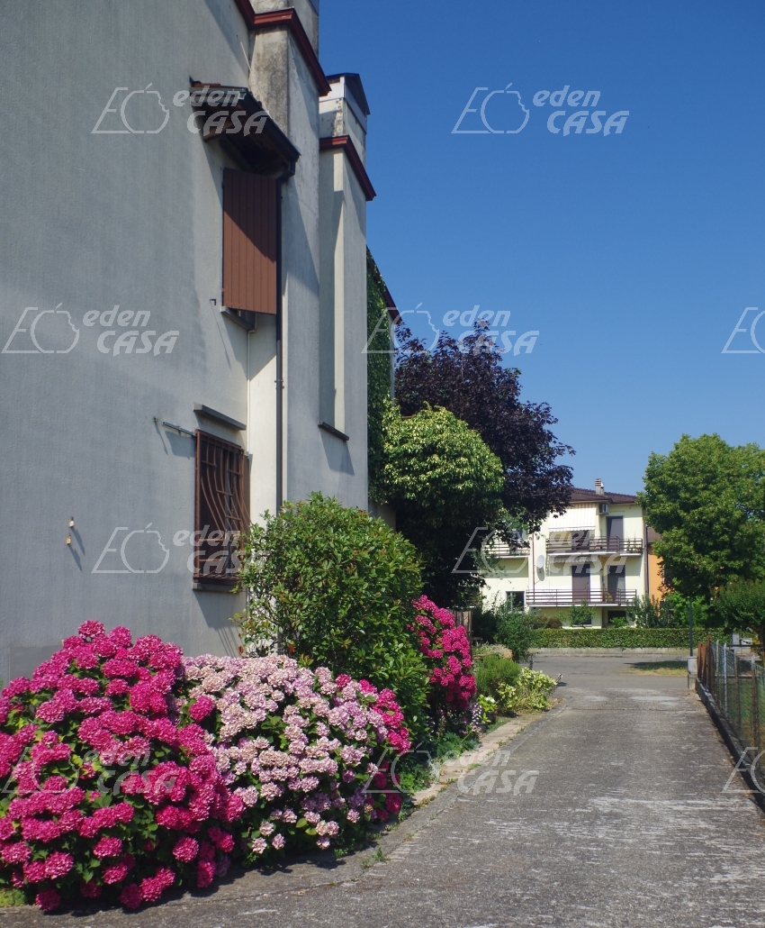 B33-156 - Busseto, bifamigliare 3 camere
